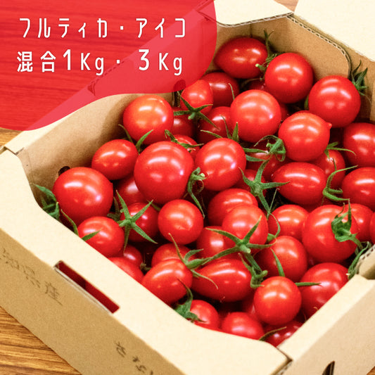 高糖度ミニトマト「瑞甘」 混合  1kg・3kg