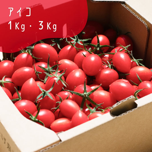 高糖度ミニトマト「瑞甘」 アイコ 1kg・3kg