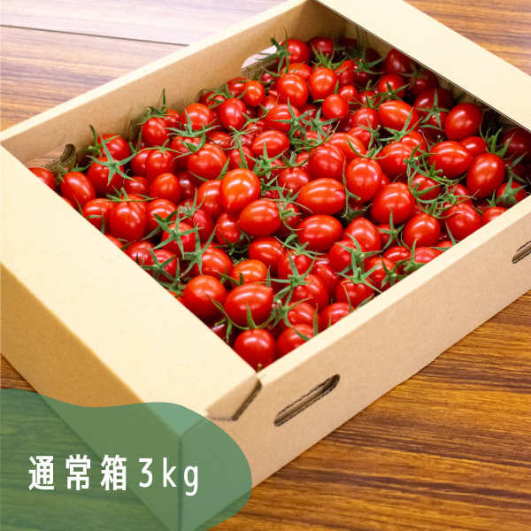高糖度ミニトマト「瑞甘」 アイコ 1kg・3kg