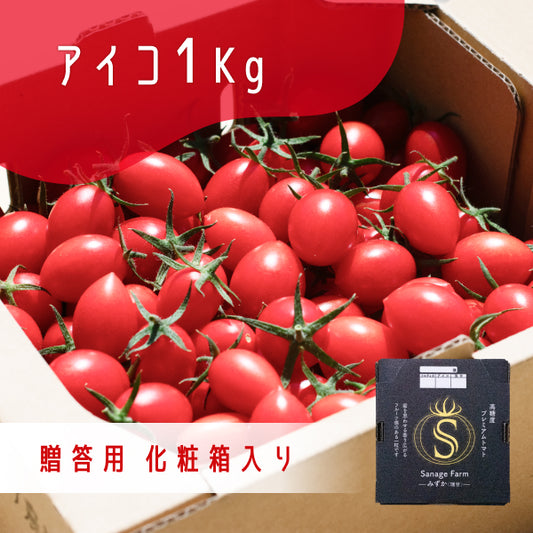 （ギフト用）高糖度ミニトマト「瑞甘」 アイコ 1kg