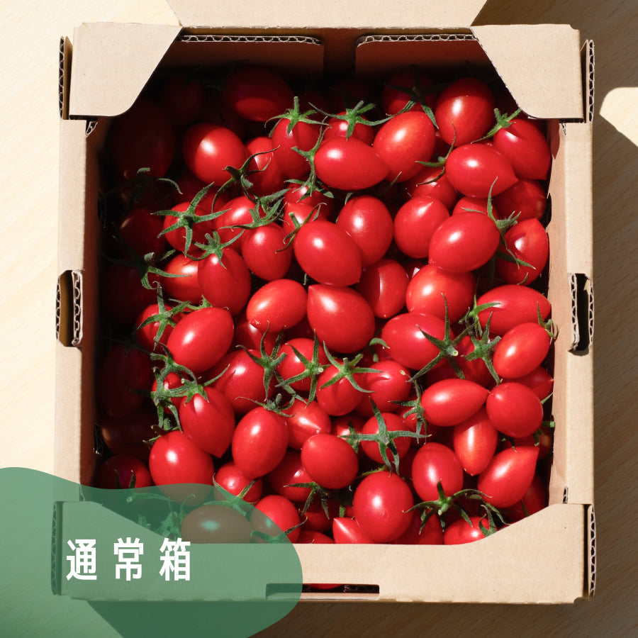 高糖度ミニトマト「瑞甘」 アイコ 1kg・3kg