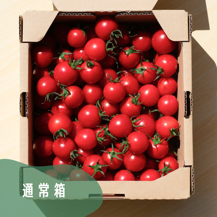 高糖度ミニトマト「瑞甘」 フルティカ  1kg・3kg