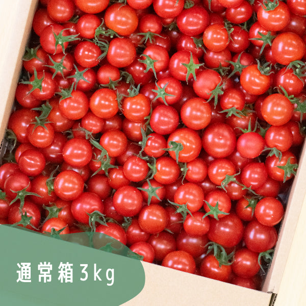 高糖度ミニトマト「瑞甘」 フルティカ  1kg・3kg