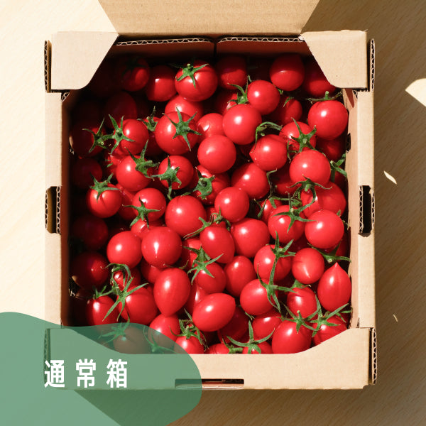 高糖度ミニトマト「瑞甘」 混合  1kg・3kg