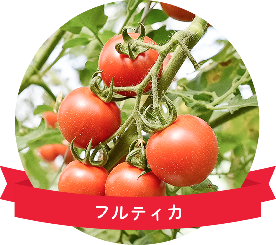 フルティカのイメージ